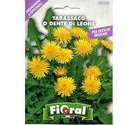 Sementi di piante aromatiche e officinali in bustina ad uso amatoriale (TARASSACO O DENTE DI LEONE)