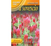 SEMENTI DI PIANTE DESTINATE AL SOVESCIO IN CONFEZIONE DA 100 GR (TRIFOGLIO INCARNATO)