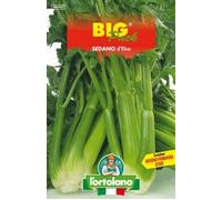 Sementi Di Sedano D' Elne Big Pack - L'ortolano