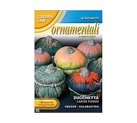 SEMENTI DI ZUCCHETTA ZUCCA ORNAMENTALE LARGE FUNGO orto giardino semi
