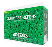 Sementi Dichondra Repens 500g Zollaverde Bottos