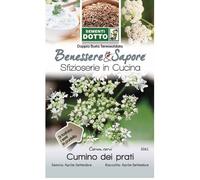 Sementi Dotto di Cumino dei Prati | Piante Officinali