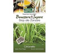 Sementi Dotto Semi di Citronella