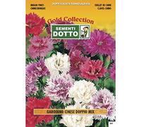 Sementi Dotto Semi di Garofano Cinese Doppio in Mix - h cm 35