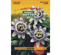 Sementi Dotto Semi di Passiflora - h cm 400