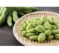 Sementi Fava Superaguadulce Sel. Samba 500 gr - Varietà Precoce per Semina Autunno Inverno Primavera