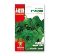 Sementi in busta magnum termosaldata grande per la produzione di ortaggi nell'orto famigliare (Cicoria Grumolo verde, Due buste)