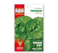 Sementi in busta magnum termosaldata grande per la produzione di ortaggi nell'orto famigliare (Spinacio Matador, Una busta)