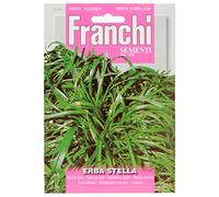 SEMENTI IN BUSTINA DI PIANTE OFFICINALI E AROMATICHE (ERBA STELLA)