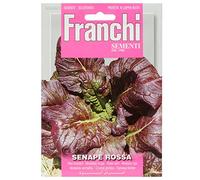 SEMENTI IN BUSTINA DI PIANTE OFFICINALI E AROMATICHE (SENAPE ROSSA)