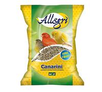 Sementi Mangime Uccelli Canarino Mangime in semi per tutti i Canarini - 1 Kg