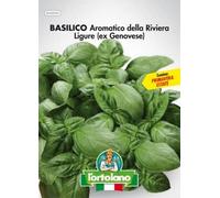 Sementi orticole di qualità l'ortolano in busta termosaldata (160 varietà) (BASILICO AROMATICO DELLA RIVIERA LIGURE (ex Genovese))