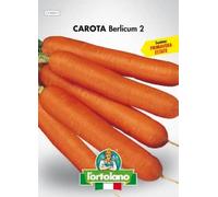 Sementi orticole di qualità l'ortolano in busta termosaldata (160 varietà) (CAROTA BERLICUM 2)