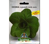 Sementi orticole di qualità l'ortolano in busta termosaldata (160 varietà) (CICORIA A GRUMOLO VERDE SCURO)