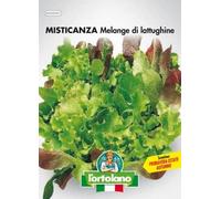 Sementi orticole di qualità l'ortolano in busta termosaldata (160 varietà) (MISTICANZA MELANGE DI LATTUGHINE)