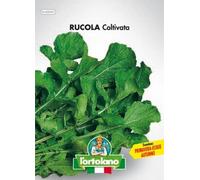 Sementi orticole di qualità l'ortolano in busta termosaldata (160 varietà) (RUCOLA COLTIVATA)