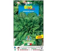Sementi orticole di qualità l'ortolano in busta termosaldata (160 varietà) (SPINACIO MATADOR)