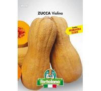 Sementi orticole di qualità l'ortolano in busta termosaldata (160 varietà) (ZUCCA VIOLINA)