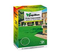 SEMENTI PAPILLON X PRATO CALPESTABILE