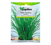 Sementi per orto ERBA CIPOLLINA Papillon