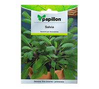 Sementi per orto SALVIA Papillon