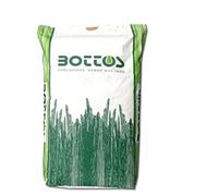Sementi per Prato di Dicondra Repens - 5 kg