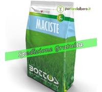 SEMI PROFESSIONALI BOTTOS MACISTE PRATO TAPPETO ERBOSO 1KG RESISTENTE FESTUCA
