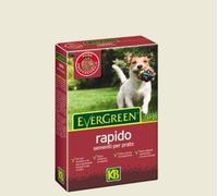 SEMENTI PRATO RAPIDO E SEMPLICE 1 KG KB SEMI ERBA PRATO