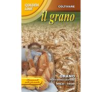 SEMENTI SELEZIONATE DI GRANO PER FARINA DA PANE CONFEZIONE DA 100 GRAMMI