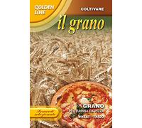 SEMENTI SELEZIONATE DI GRANO PER FARINA DA PIZZA CONFEZIONE DA 100 GRAMMI