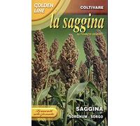 SEMENTI SELEZIONATE DI SAGGINA (SORGHUM) IN CONFEZIONE DA 100 GRAMMI