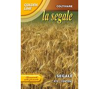 SEMENTI SELEZIONATE DI SEGALE (SECALE CERALE) IN CONFEZIONE DA 100 GRAMMI