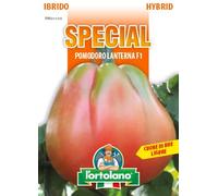 Sementi SPECIAL di qualità Ibride e Selezioni Speciali per l'orto Hobbystico in bustina termosaldata (Pomodoro Lanterna F1)