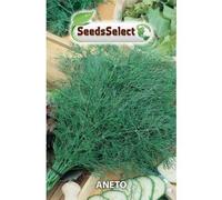 Semi Aneto,Erba Aromatiche o officinali,2 buste Maxi