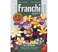 Semi Aquilegia Multicolor Fiori Franchi Sementi 1g