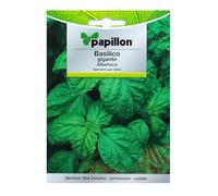 Sementi per orto BASILICO GIGANTE Papillon