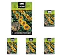 Semi aromatici di Batlle - Girasole (Seeds - 30cm), bianco (Confezione da 5)