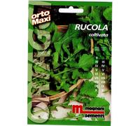 Semi aromi Rucola coltivata