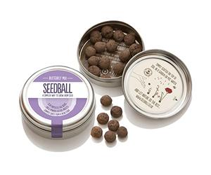Semi Ball farfalla della miscela. ausgewogene Pianta Comune della miscela con 5 specie naturali. Le pratiche palline di argilla machen ES Finalmente veramente semplice Den Schmetterlingen ecologicamente sinnvoll qualcosa buona a fare. In der Stadt piatto o nel grande giardino. Per uso personale o come idea regalo. Home di Made in London. 100% organico. Von seedball For You.