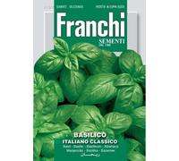 Semi Basilico Italiano Classico Franchi Sementi 6g