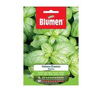 SEMI BASILICO ITALIANO CLASSICO GENOVESE BLUMEN SEMENTI ORTO