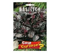 Semi - Basilico Rosso (Red Rubin)