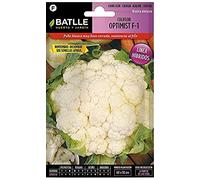 Semi Batlle - Cavolfiore