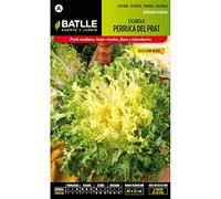 Semi Batlle - escarola