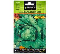 Semi Batlle - Insalata Batavia