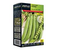 Semi Batlle - pisello odoroso