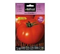 Semi Batlle - Pomodori F-1