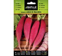 Semi Batlle - Rabanito