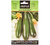 Semi Batlle - Sunny Pumpkins