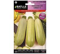 Semi Batlle - Sunny Pumpkins
